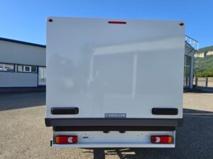 ice cream and frozen food vans 4